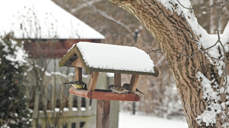 Produktbild von Generisch Vogel Hängematte | Abnehmbare Einlage Winter